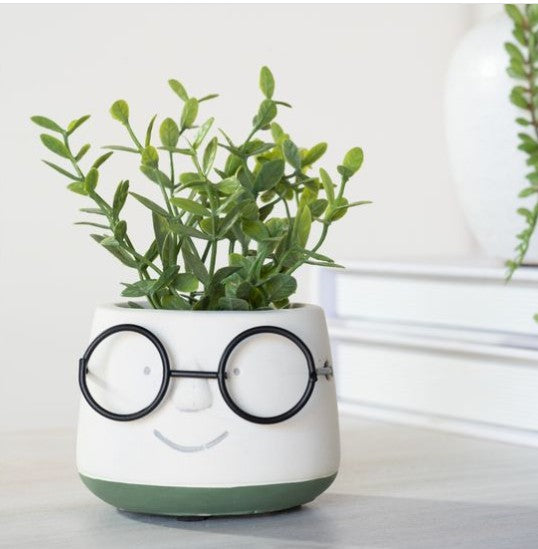 2.75 Inch Sherman Face Planter with Glasses