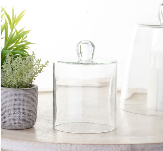 Mini Glass Cloche