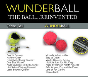 Wunderball Dog Toy